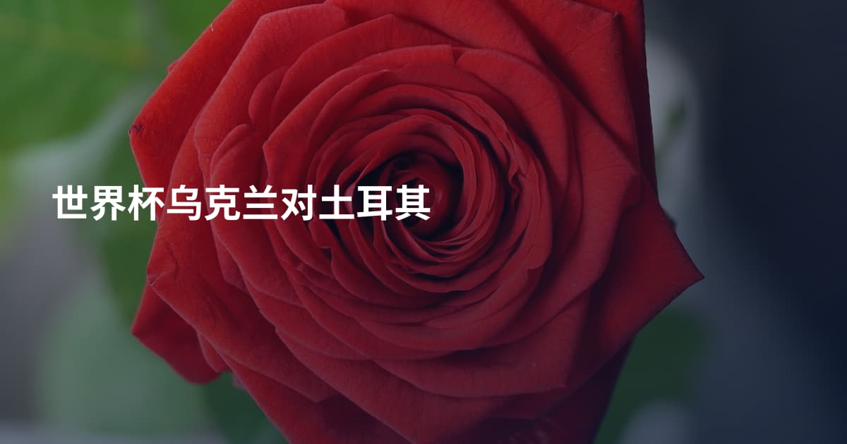 世界杯乌克兰对土耳其
