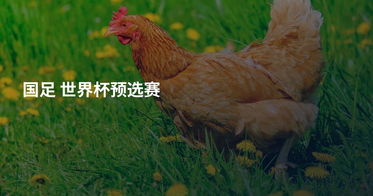 国足 世界杯预选赛