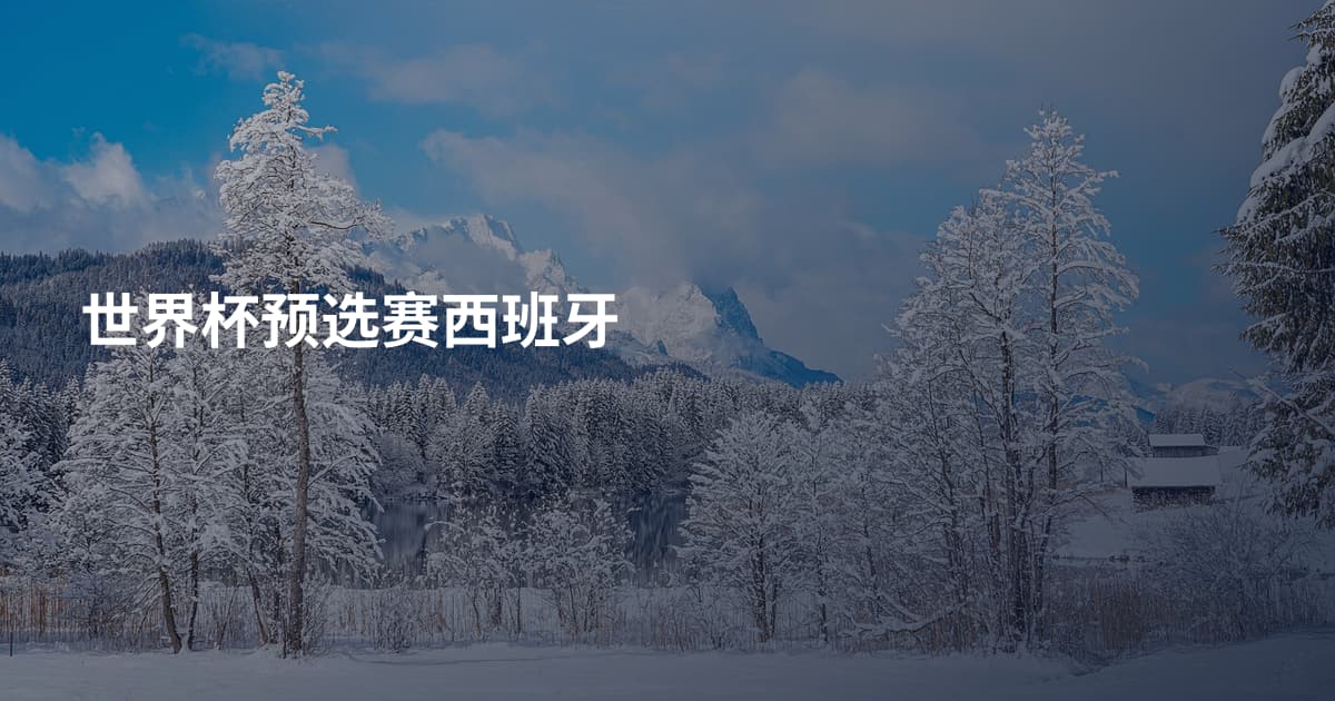 世界杯预选赛西班牙