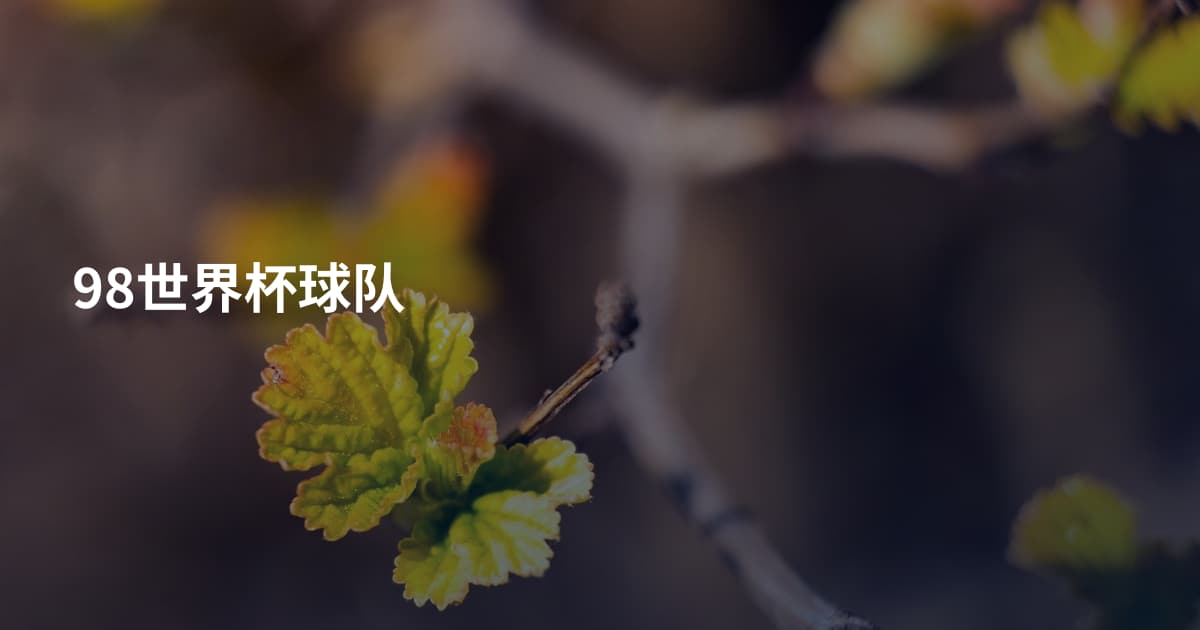 98世界杯球队