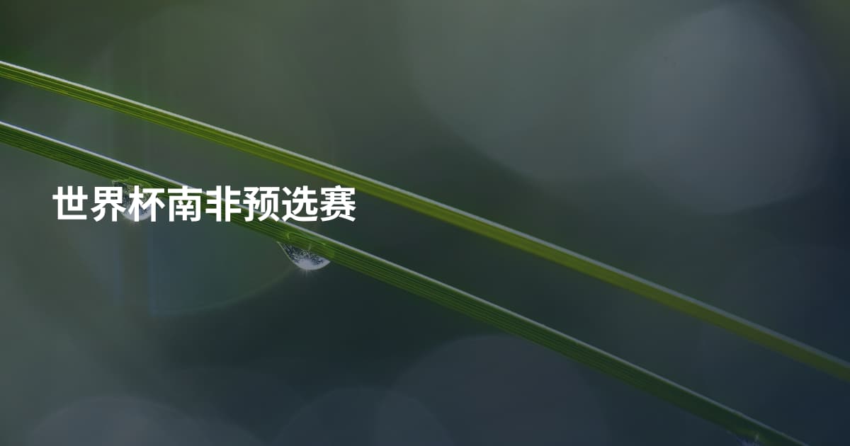 世界杯南非预选赛