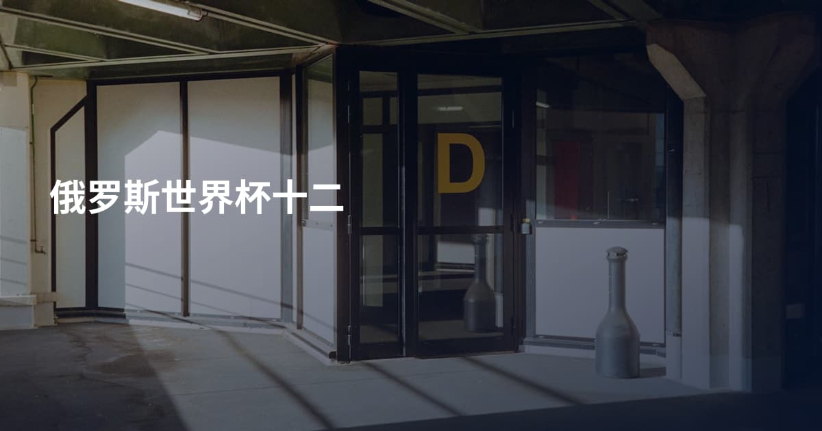 俄罗斯世界杯十二
