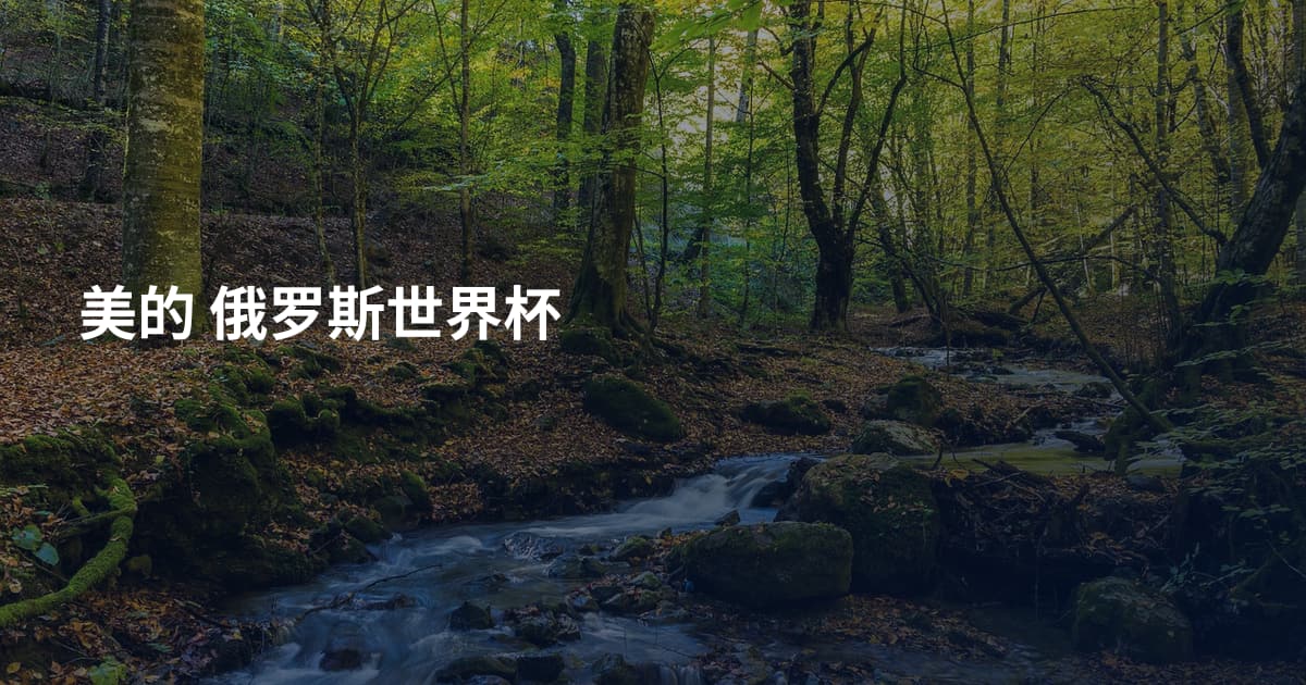 美的 俄罗斯世界杯