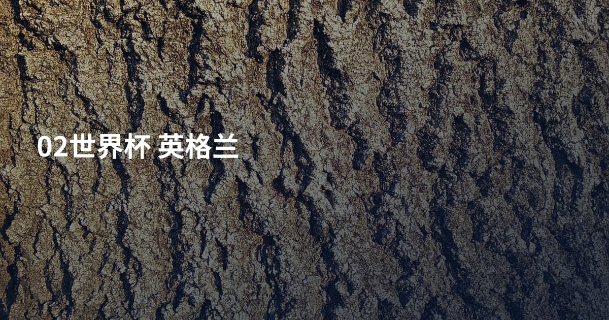 02世界杯 英格兰