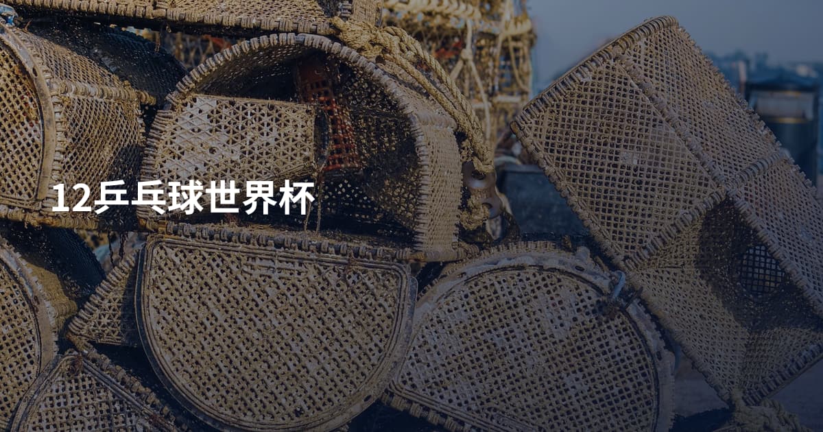 12乒乓球世界杯