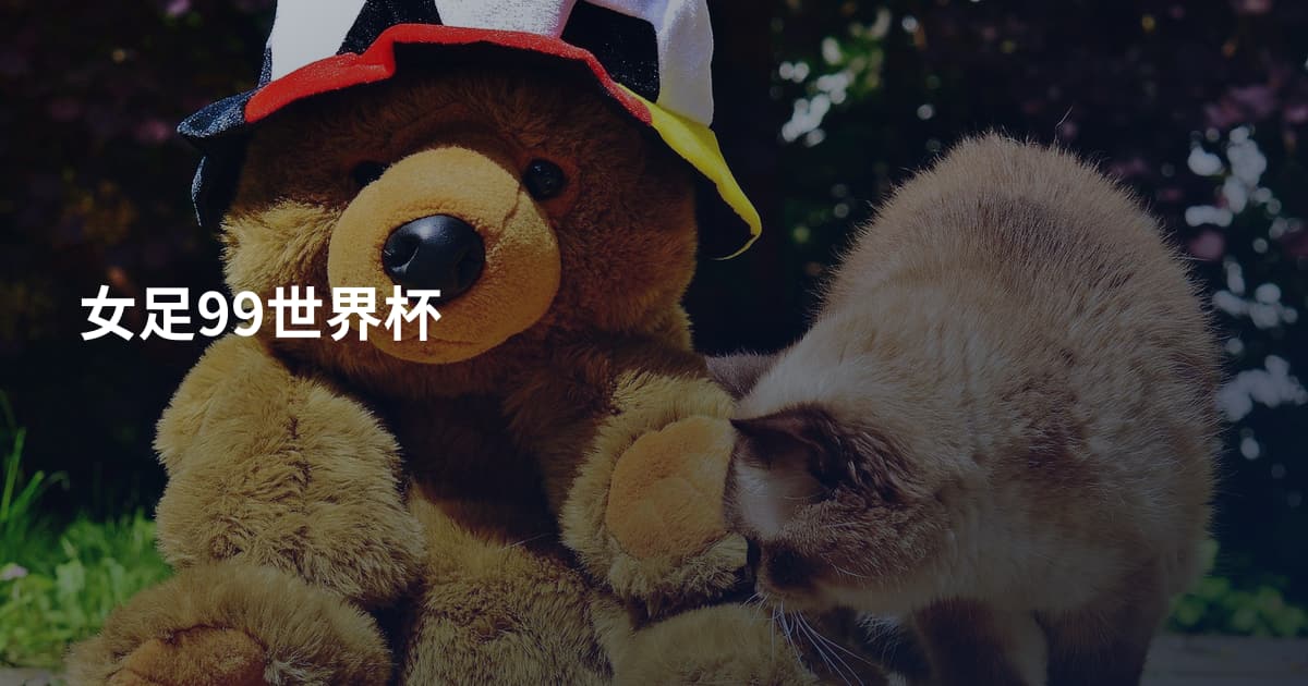 女足99世界杯