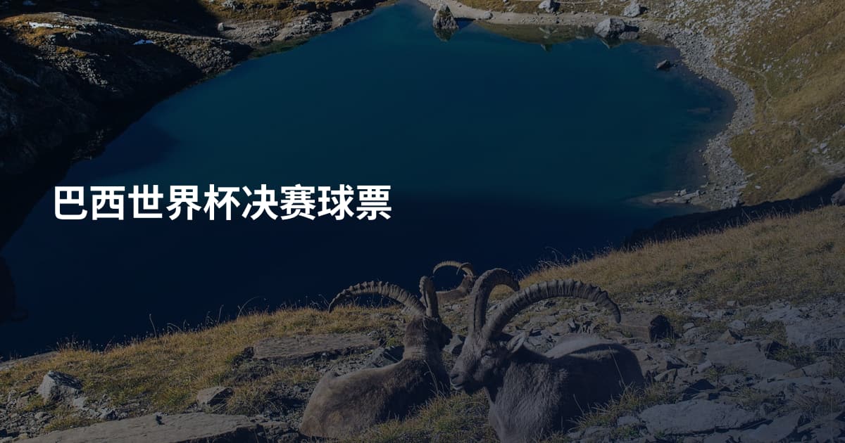 巴西世界杯决赛球票