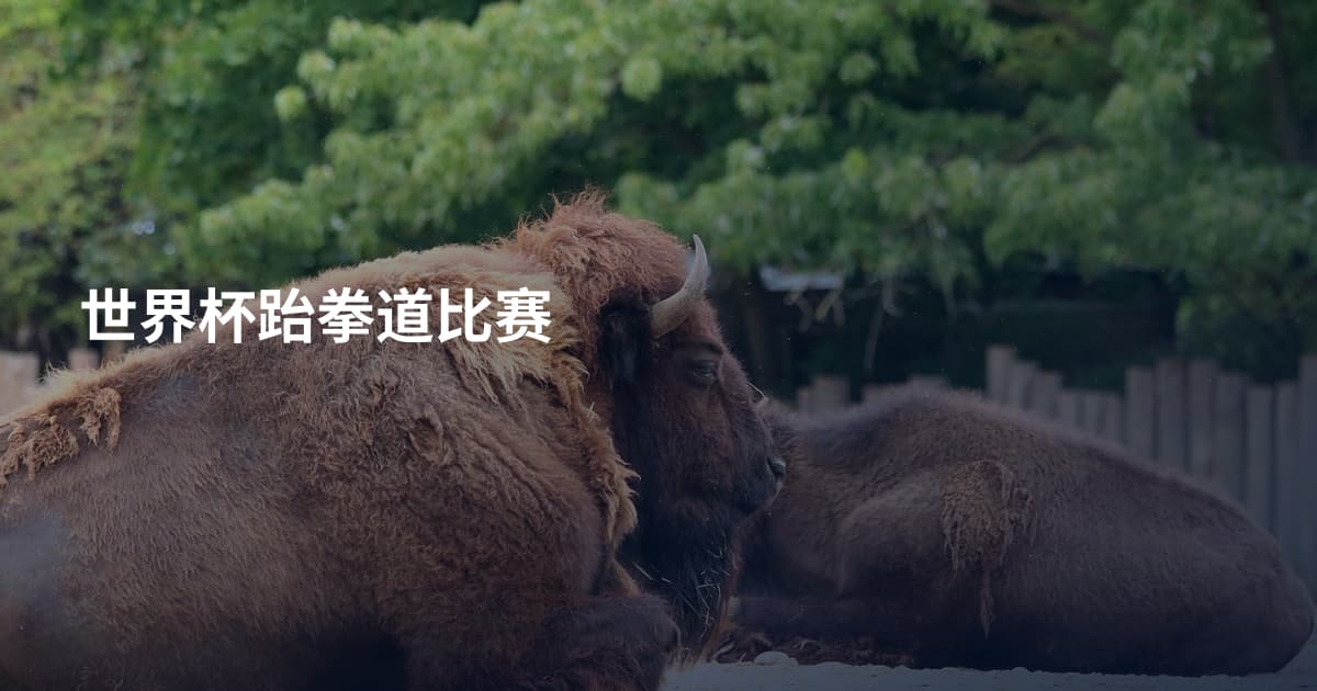世界杯跆拳道比赛