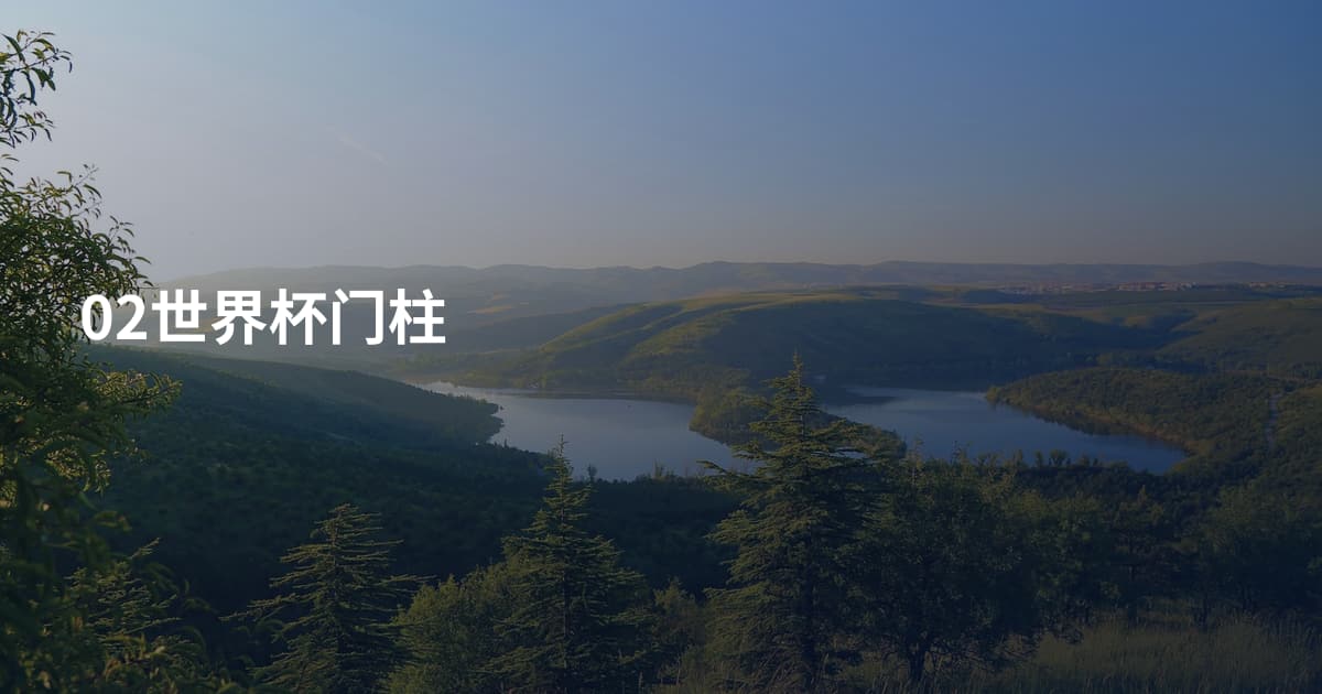 02世界杯门柱