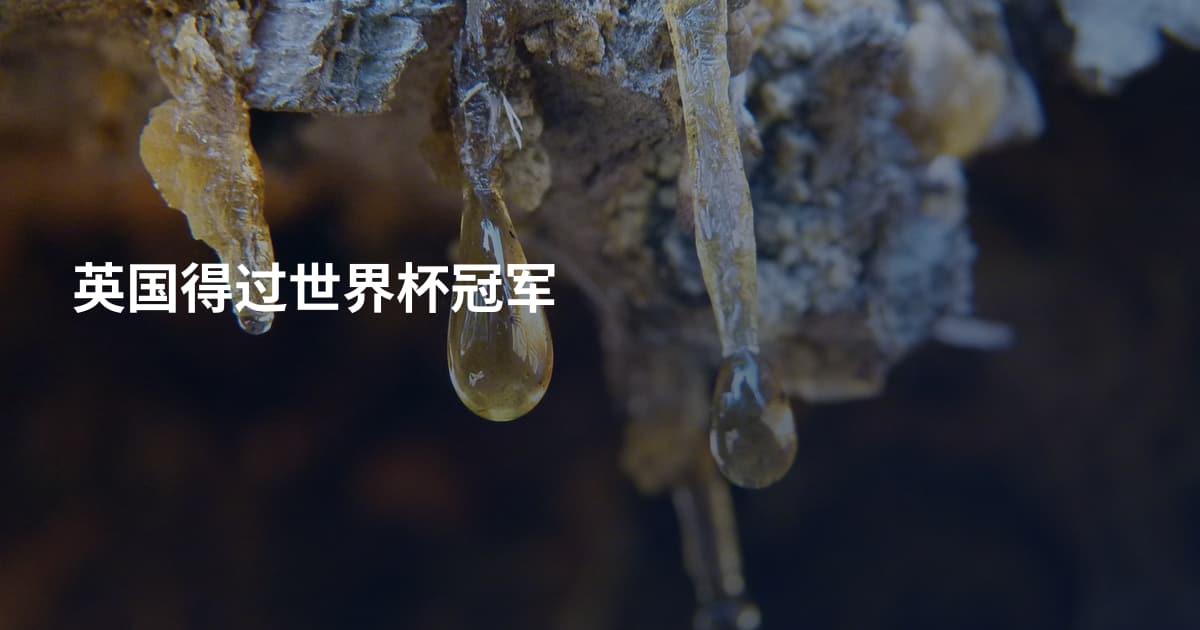 英国得过世界杯冠军
