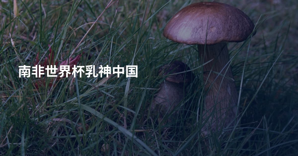 南非世界杯乳神中国