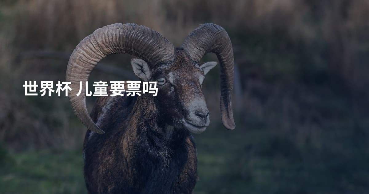 世界杯 儿童要票吗
