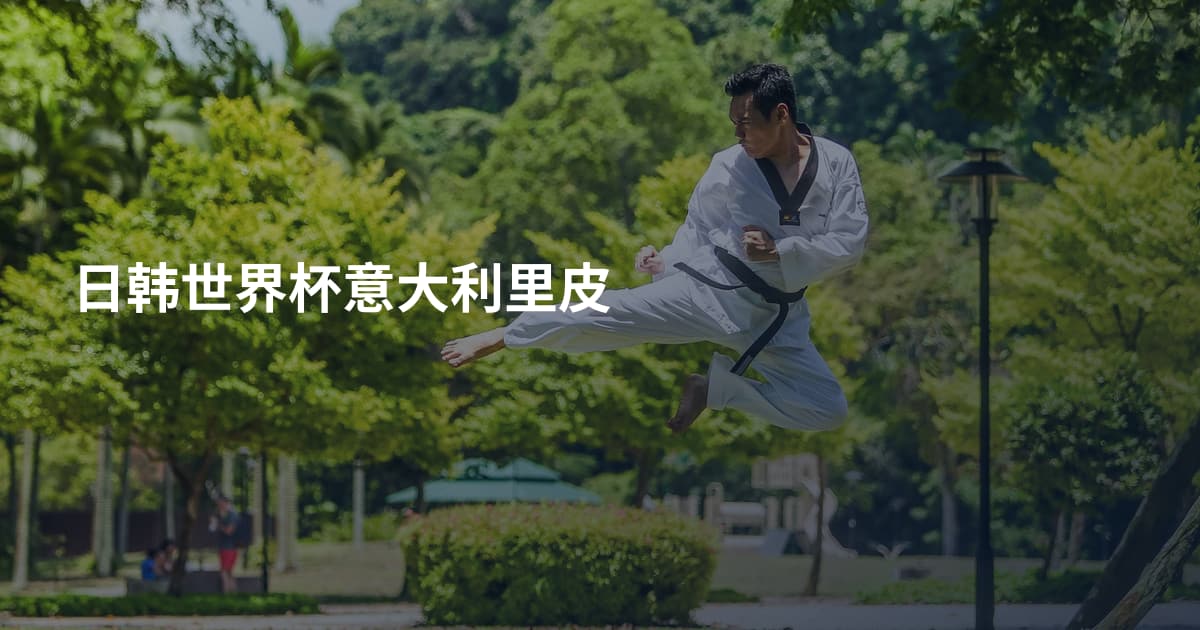 日韩世界杯意大利里皮