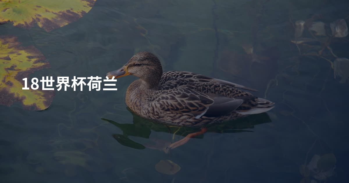 18世界杯荷兰