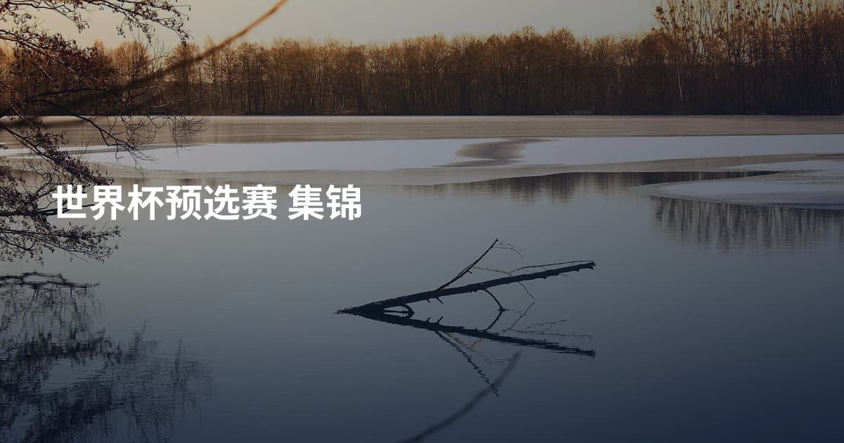 世界杯预选赛 集锦