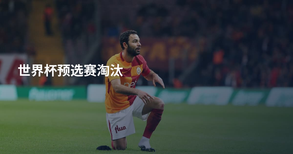 世界杯预选赛淘汰
