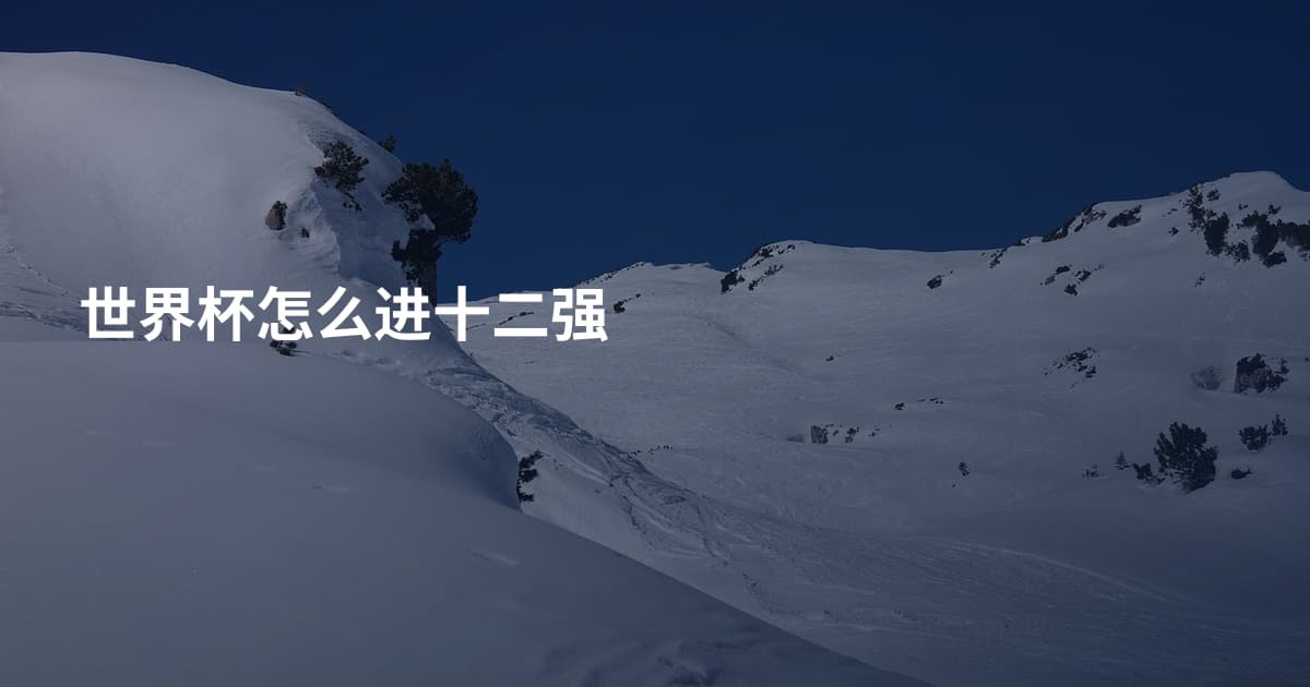 世界杯怎么进十二强