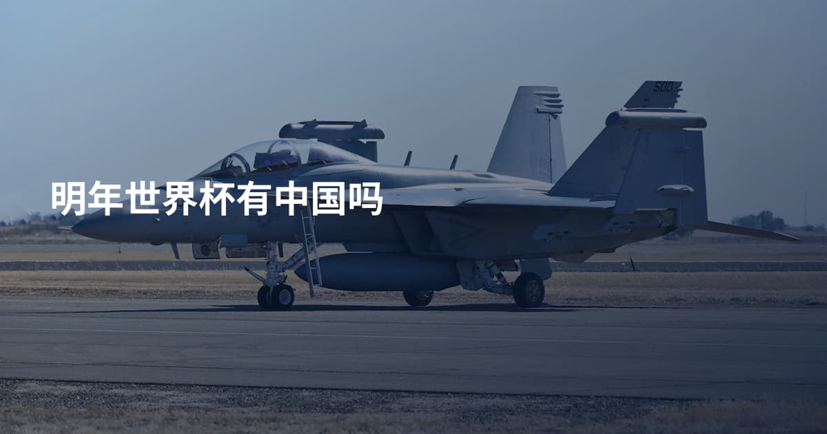 明年世界杯有中国吗