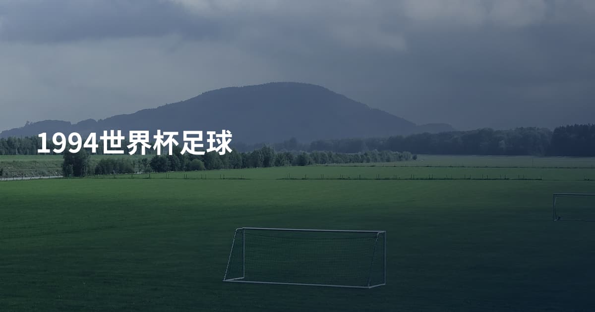 1994世界杯足球
