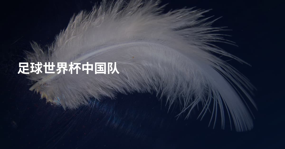 足球世界杯中国队