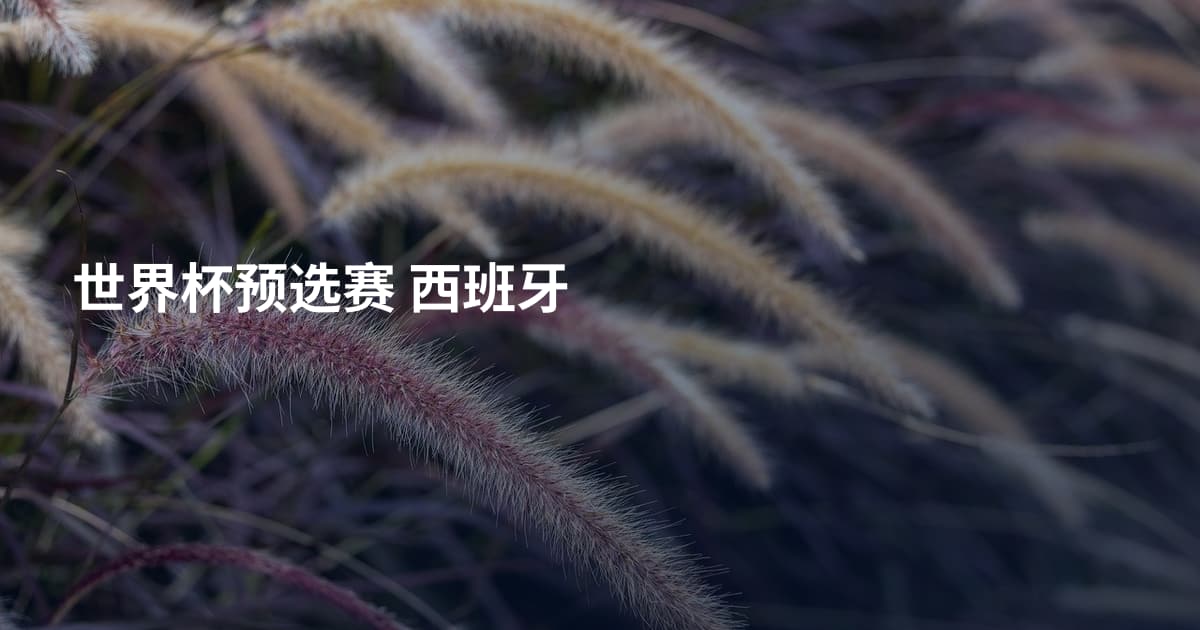 世界杯预选赛 西班牙