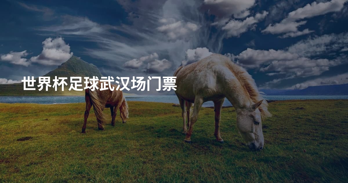 世界杯足球武汉场门票
