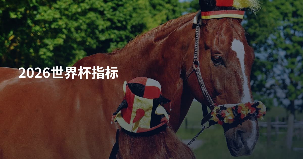 2026世界杯指标