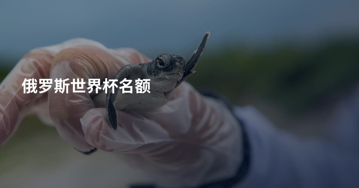 俄罗斯世界杯名额