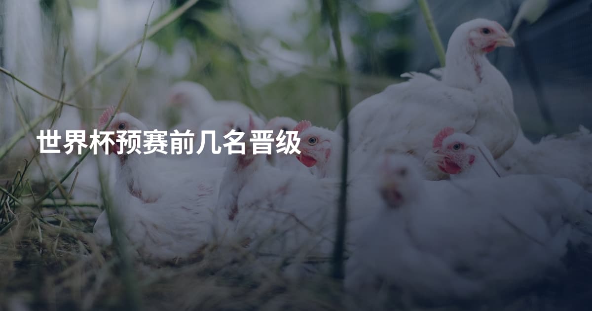 世界杯预赛前几名晋级