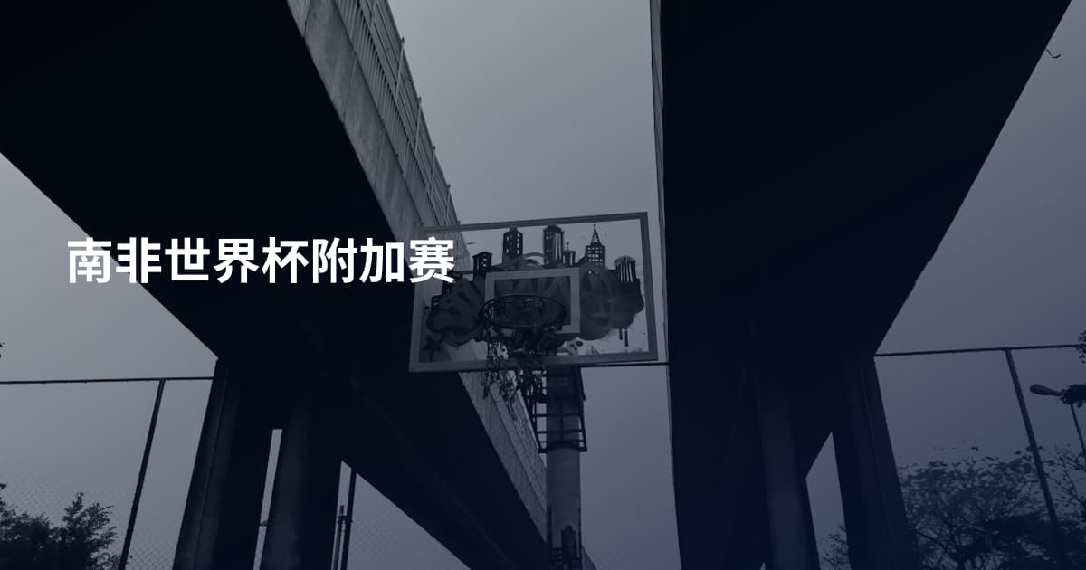 南非世界杯附加赛