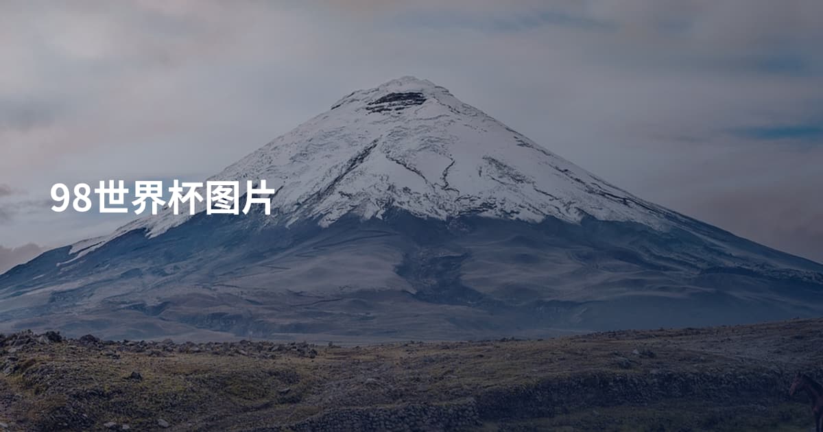 98世界杯图片
