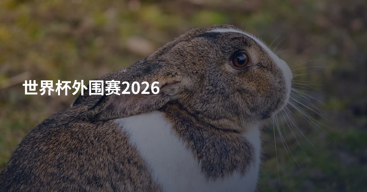 世界杯外围赛2026