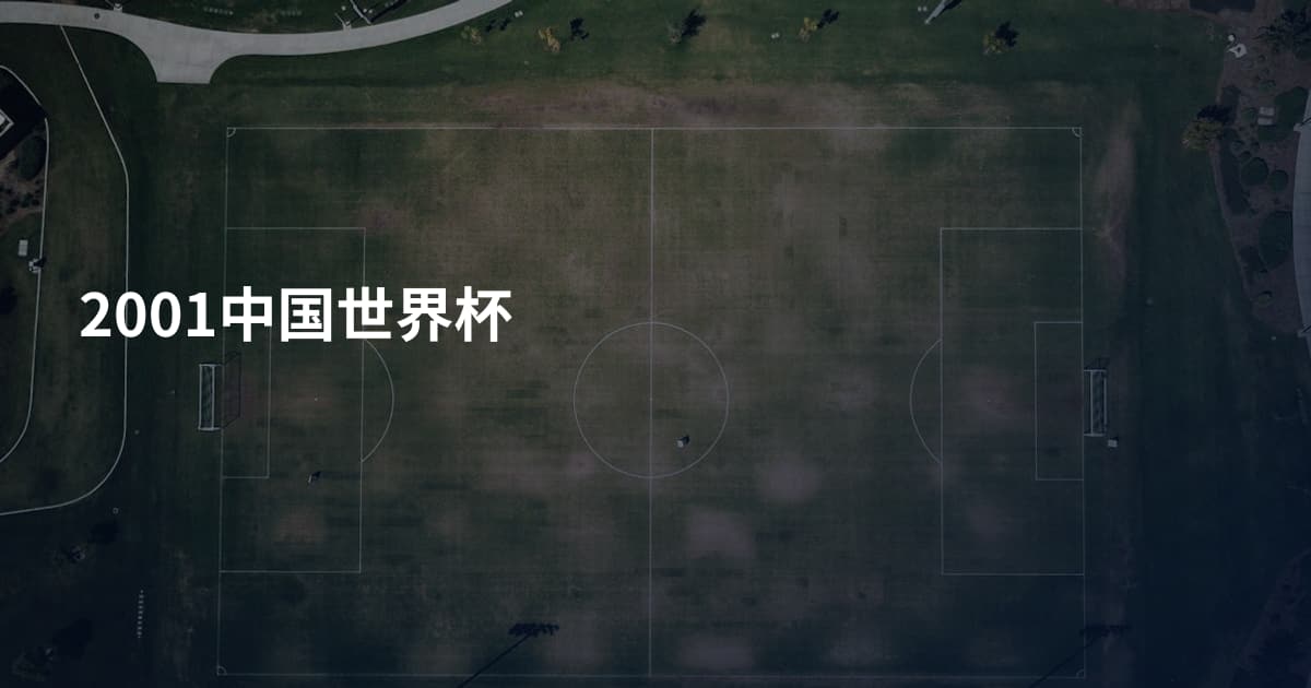 2001中国世界杯