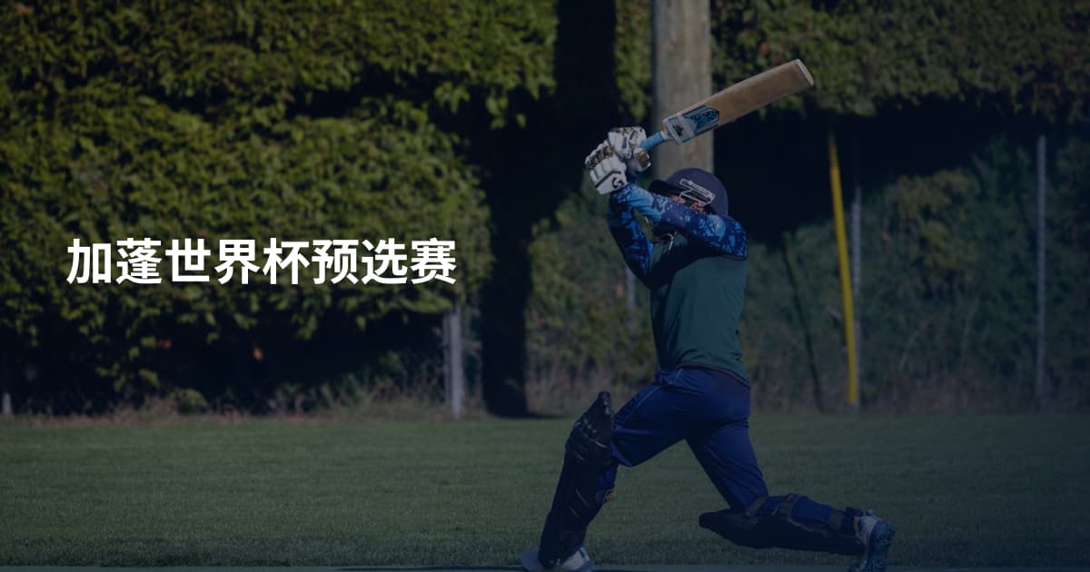 加蓬世界杯预选赛