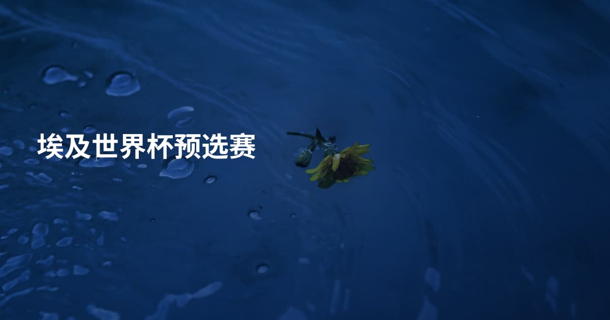 埃及世界杯预选赛