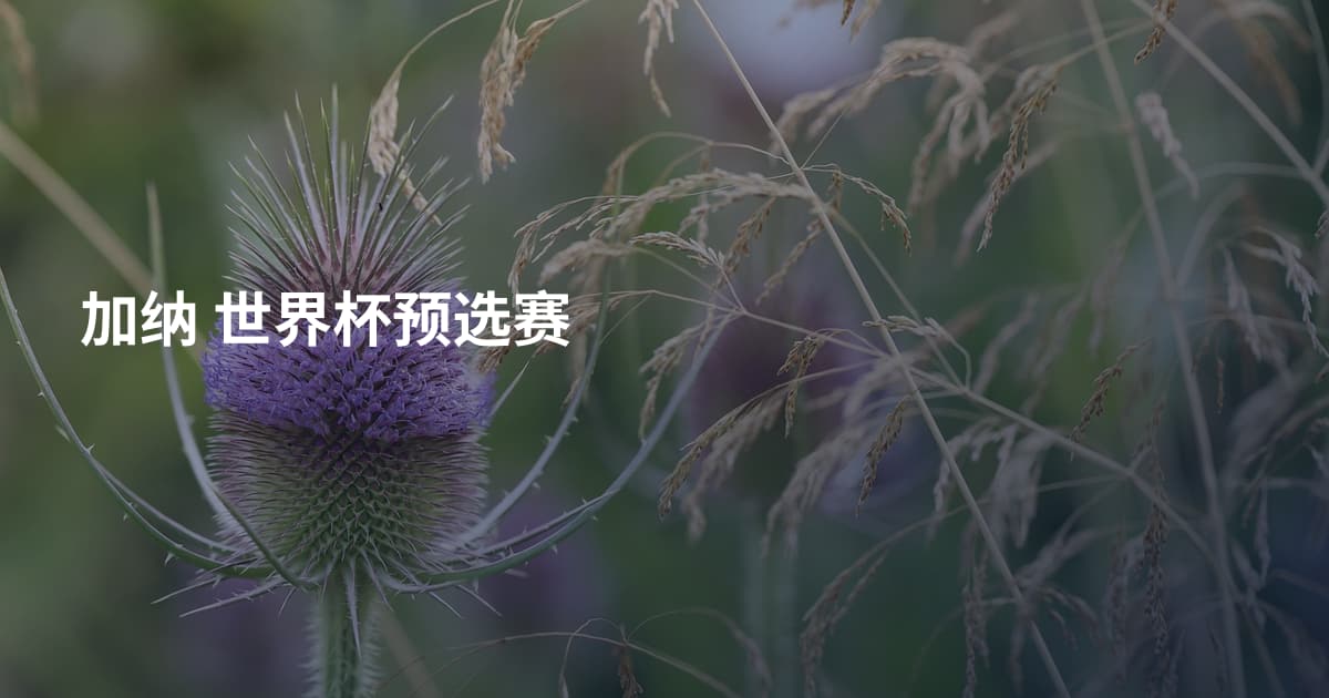 加纳 世界杯预选赛