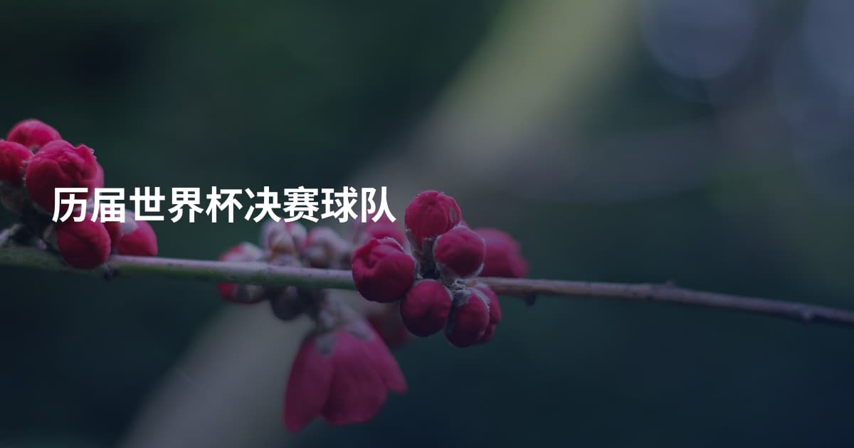 历届世界杯决赛球队