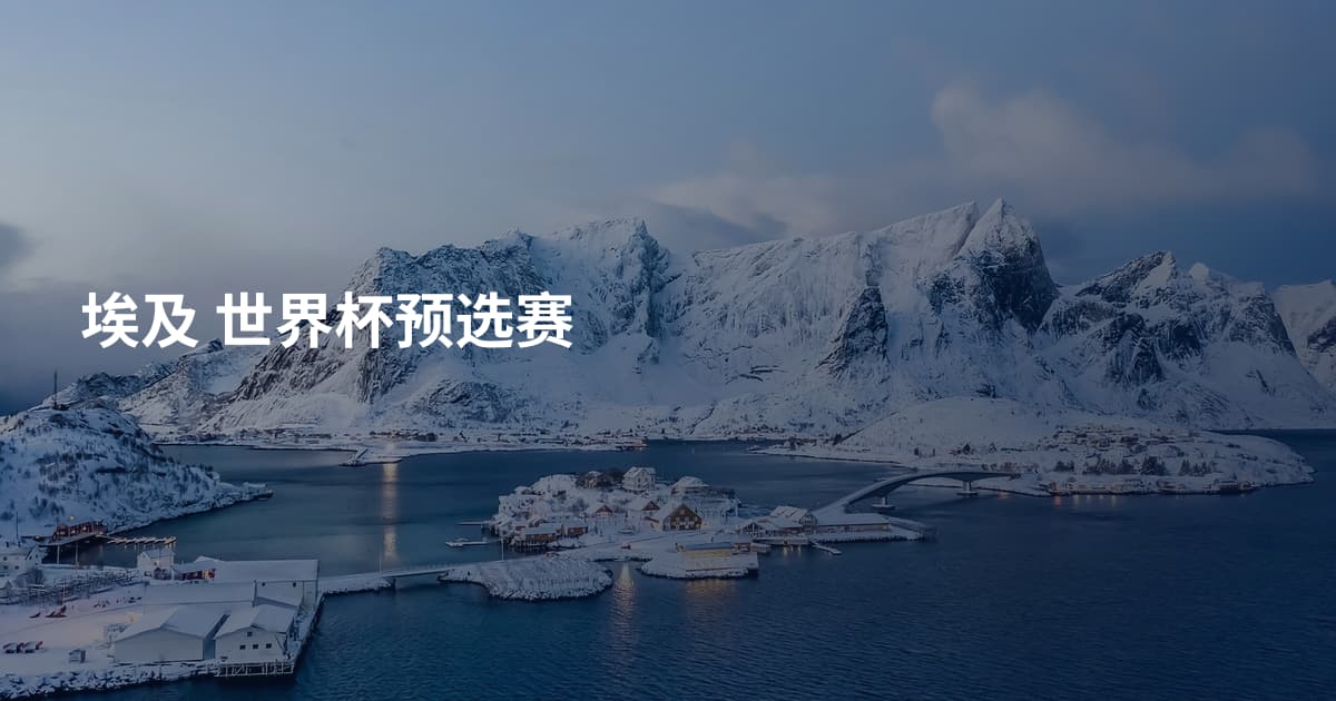 埃及 世界杯预选赛