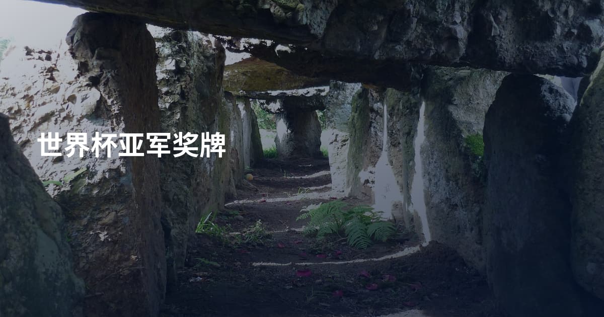 世界杯亚军奖牌