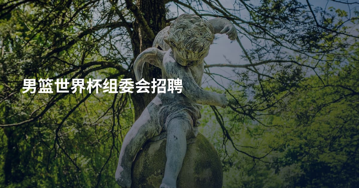 男篮世界杯组委会招聘