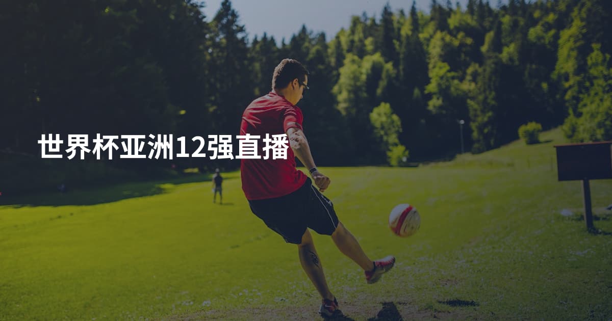 世界杯亚洲12强直播