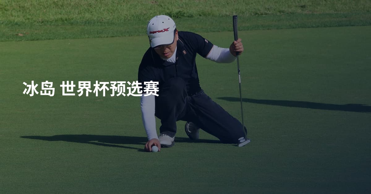 冰岛 世界杯预选赛