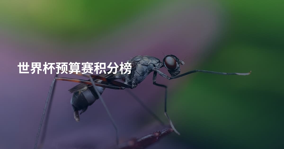 世界杯预算赛积分榜
