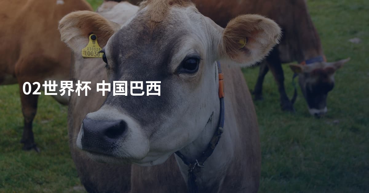 02世界杯 中国巴西