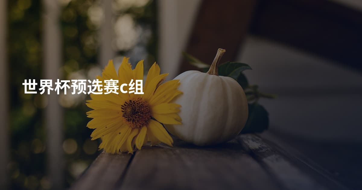世界杯预选赛c组
