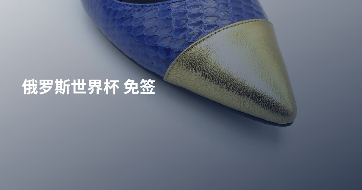 俄罗斯世界杯 免签