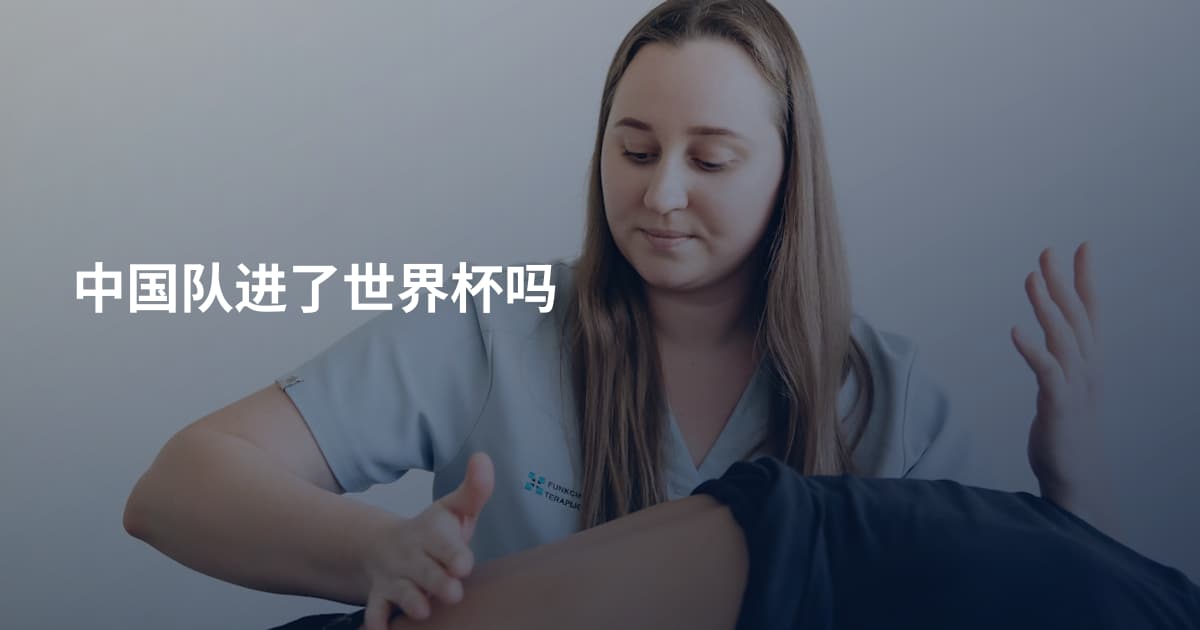 中国队进了世界杯吗