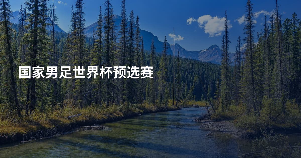 国家男足世界杯预选赛