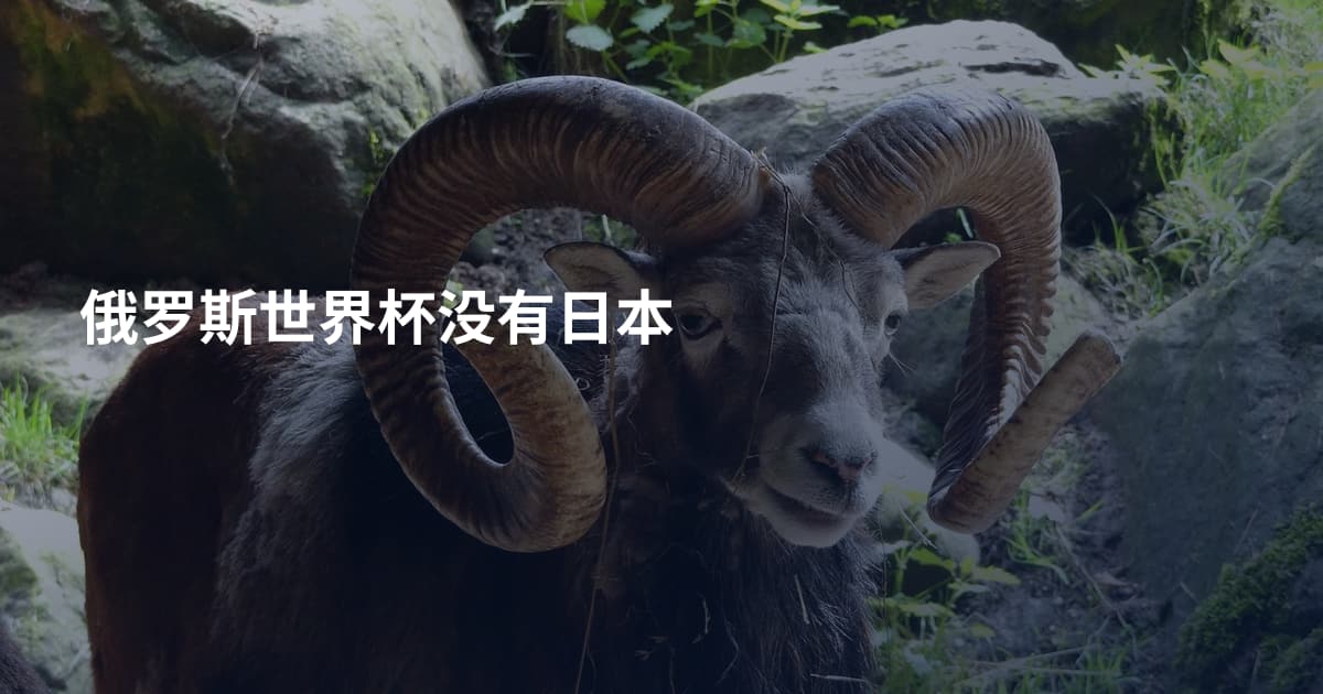 俄罗斯世界杯没有日本