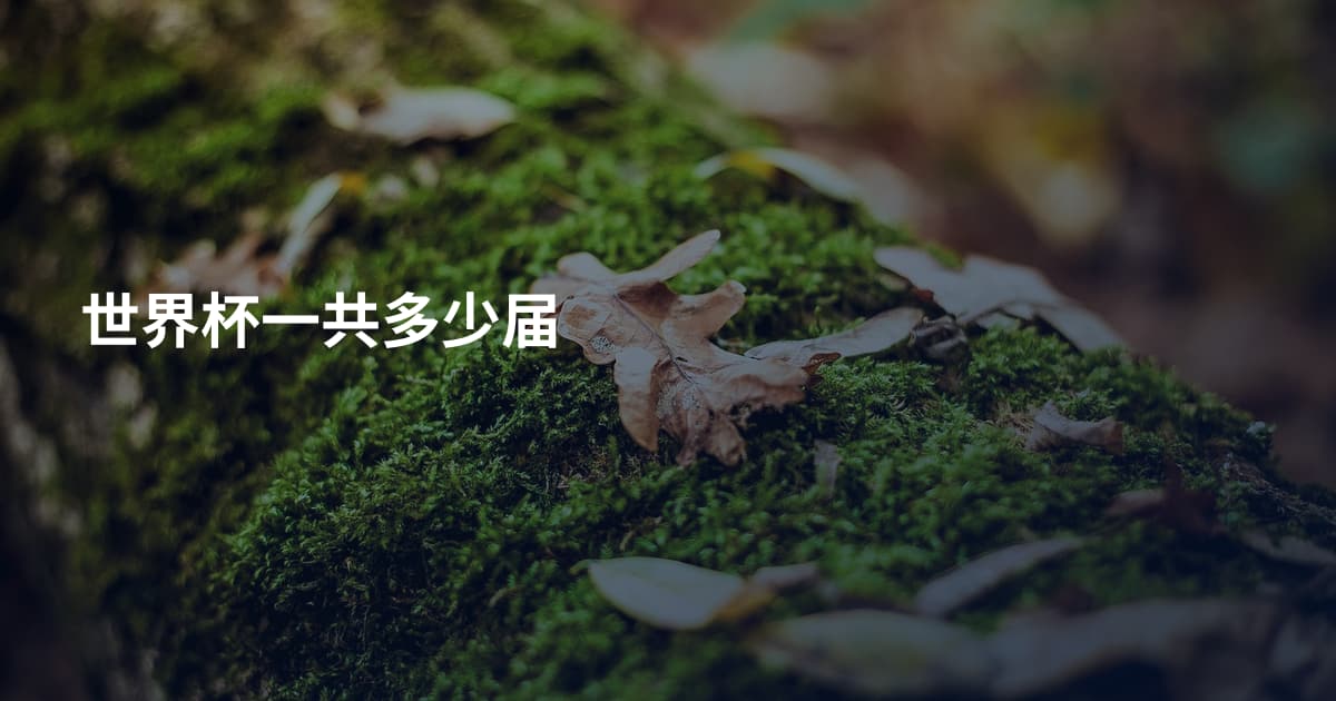 世界杯一共多少届